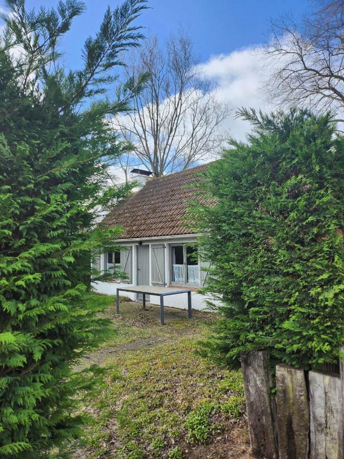 הוילה קוקסיידה Maison Sunpark Oostduinkerk 550 מראה חיצוני תמונה